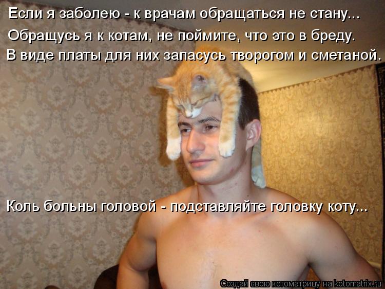 Котоматрица: Если я заболею - к врачам обращаться не стану... Обращусь я к котам, не поймите, что это в бреду. В виде платы для них запасусь творогом и смета
