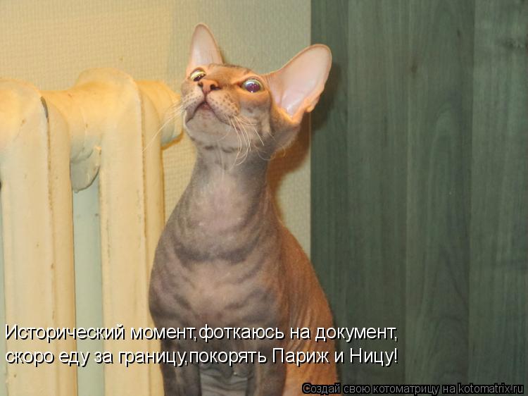 Исторический момент,фоткаюсь на документ, скоро еду за границу,покорять Париж и Ницу!... Котоматрица: Исторический момент,фоткаюсь на документ, скоро еду за границу,покорять Париж и Ницу!
