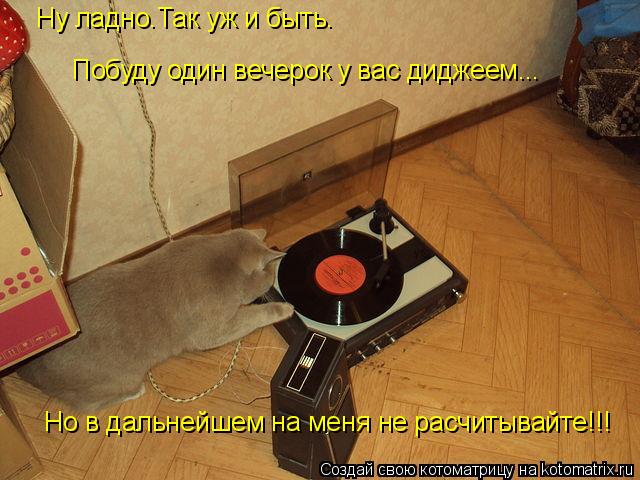 Котоматрица: Ну ладно.Так уж и быть. Побуду один вечерок у вас диджеем... Но в дальнейшем на меня не расчитывайте!!!