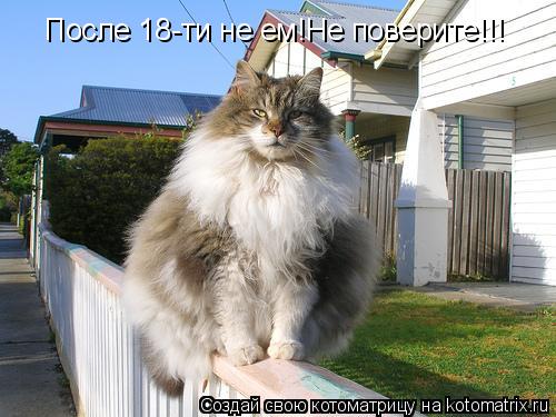 Котоматрица: После 18-ти не ем!Не поверите!!!