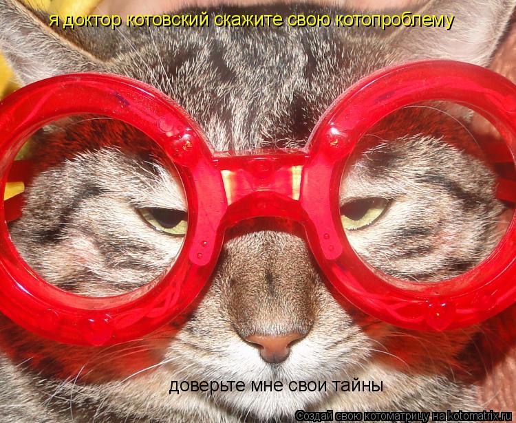 Котоматрица: я доктор котовский скажите свою котопроблему доверьте мне свои тайны доверьте мне свои тайны