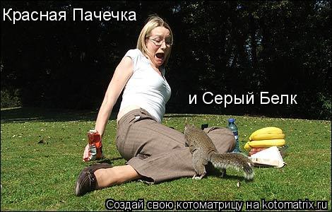 Красная Пачечка и Серый Белк... Котоматрица: Красная Пачечка и Серый Белк