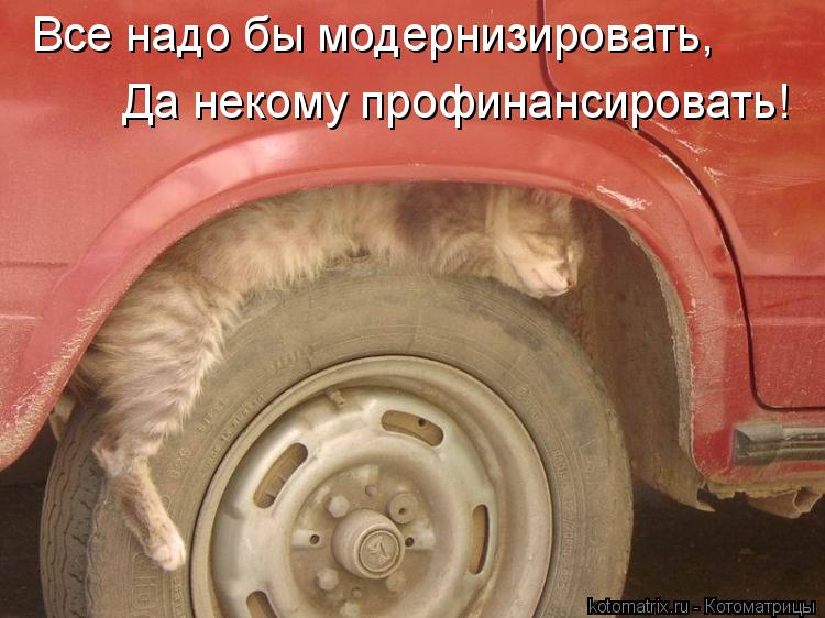 Котоматрица: Все надо бы модернизировать, Да некому профинансировать!