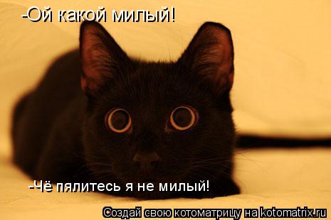 -Ой какой милый! -Чё пялитесь я не милый!... Котоматрица: -Ой какой милый! -Чё пялитесь я не милый!
