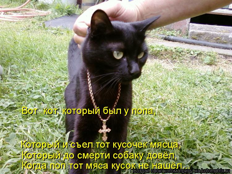 Вот кот, который был у попа, Который и съел тот кусочек мясца, Который до смерти собаку довёл, Когда... Котоматрица: Вот кот, который был у попа, Который и съел тот кусочек мясца, Который до смерти собаку довёл, Когда поп тот мяса кусок не нашёл...