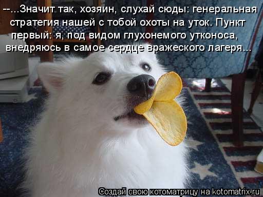 --...Значит так, хозяин, слухай сюды: генеральная стратегия нашей с тобой охоты на уток. Пункт первы... Котоматрица: --...Значит так, хозяин, слухай сюды: генеральная стратегия нашей с тобой охоты на уток. Пункт первый: я, под видом глухонемого утконоса, внед