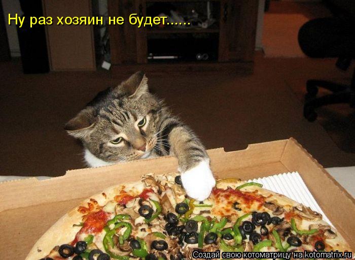 Котоматрица: Ну раз хозяин не будет......