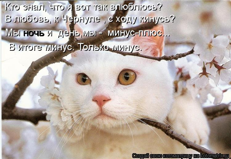 Кто знал, что я вот так влюблюсь? В любовь, к Чернуле , с ходу кинусь? Мы ночь и день,мы - минус-пл... Котоматрица: Кто знал, что я вот так влюблюсь? В любовь, к Чернуле , с ходу кинусь? Мы ночь и день,мы - минус-плюс... В итоге минус. Только минус. ночь