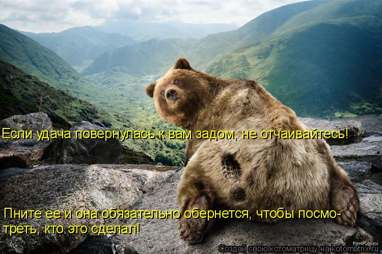 Котоматрица: Если удача повернулась к вам задом, не отчаивайтесь! Пните ее и она обязательно обернется, чтобы посмо- треть, кто это сделал!