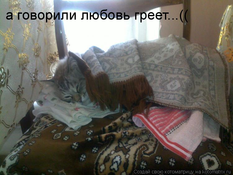 а говорили любовь греет...((... Котоматрица: а говорили любовь греет...((