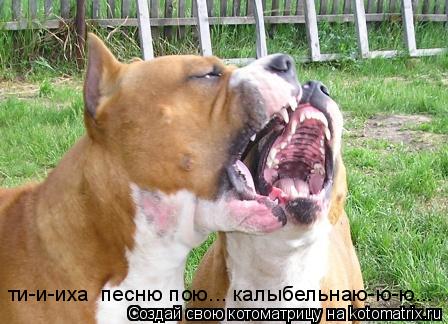 ти-и-иха песню пою... калыбельнаю-ю-ю...... Котоматрица: ти-и-иха песню пою... калыбельнаю-ю-ю...