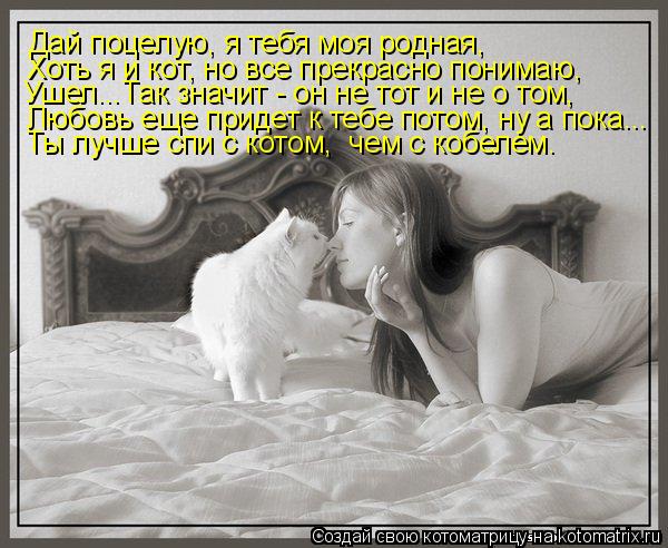 Котоматрица: Хоть я и кот, но все прекрасно понимаю, Дай поцелую, я тебя моя родная, Ушел...Так значит - он не тот и не о том, Любовь еще придет к тебе потом, н
