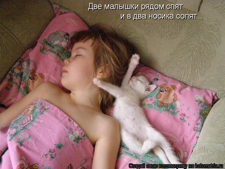 Котоматрица: и в два носика сопят... Две малышки рядом спят