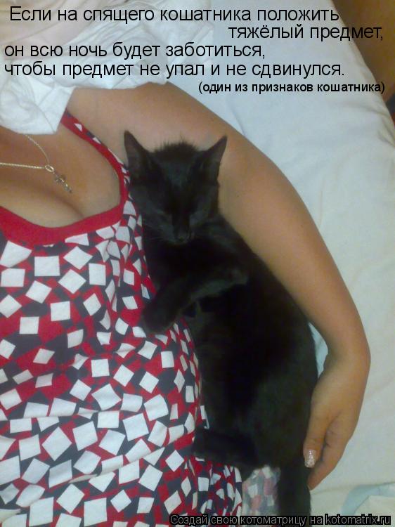 Котоматрица: Если на спящего кошатника положить  тяжёлый предмет, он всю ночь будет заботиться,  чтобы предмет не упал и не сдвинулся. (один из признаков 