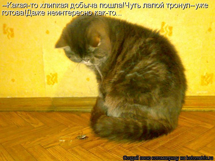 Котоматрица: --Какая-то хлипкая добыча пошла!Чуть лапой тронул--уже готова!Даже неинтересно как-то...