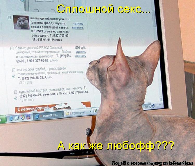 Котоматрица: Сплошной секс... А как же любофф???