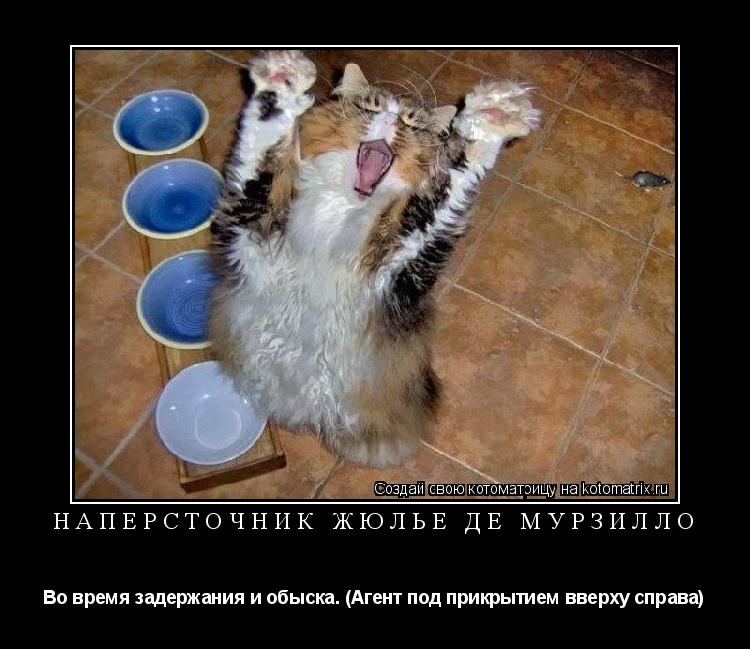 Наперсточник Жюлье де Мурзилло Во время задержания и обыска. (Агент под прикрытием вверху справа)... Котоматрица: Наперсточник Жюлье де Мурзилло Во время задержания и обыска. (Агент под прикрытием вверху справа)