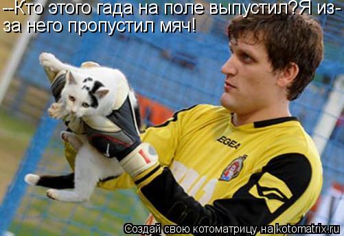 Котоматрица: --Кто этого гада на поле выпустил?Я из- за него пропустил мяч!