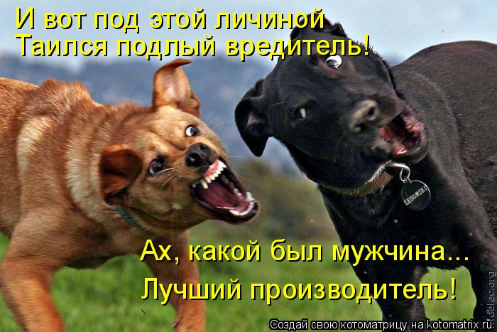 Котоматрица: И вот под этой личиной  Таился подлый вредитель! Ах, какой был мужчина... Лучший производитель!