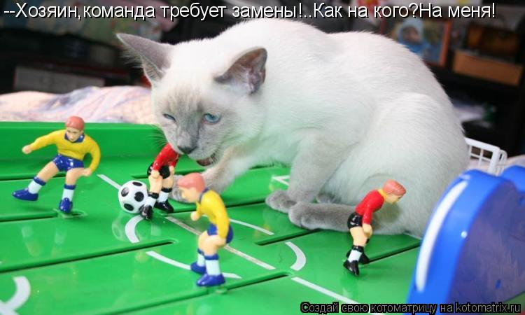 Котоматрица: --Хозяин,команда требует замены!..Как на кого?На меня!