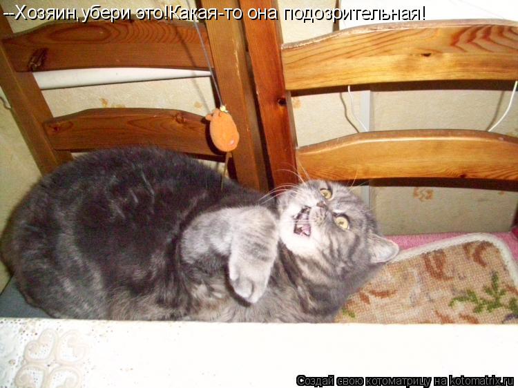Котоматрица: --Хозяин,убери это!Какая-то она подозрительная!