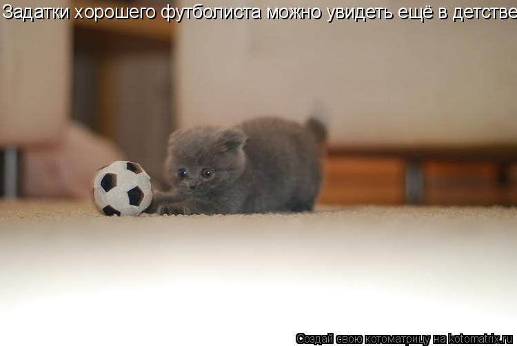 Котоматрица: Задатки хорошего футболиста можно увидеть ещё в детстве.