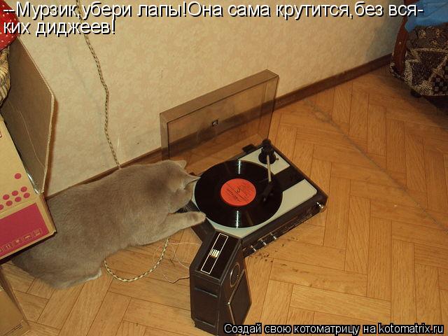 Котоматрица: --Мурзик,убери лапы!Она сама крутится,без вся- ких диджеев!