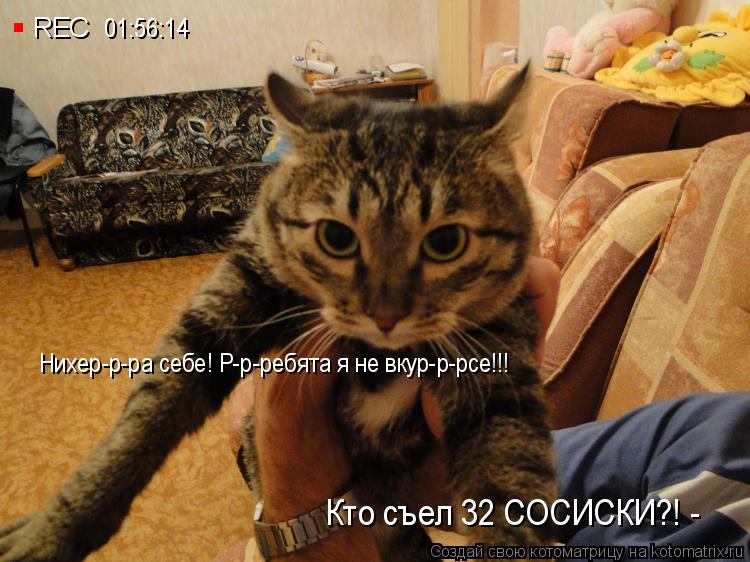 Котоматрица: . REC 01:56:14 Кто съел 32 СОСИСКИ?! - Нихер-р-ра себе! Р-р-ребята я не вкур-р-рсе!!!