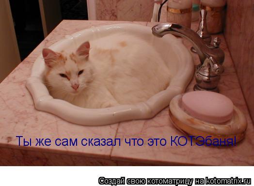 Котоматрица: Ты же сам сказал что это КОТЭбаня!