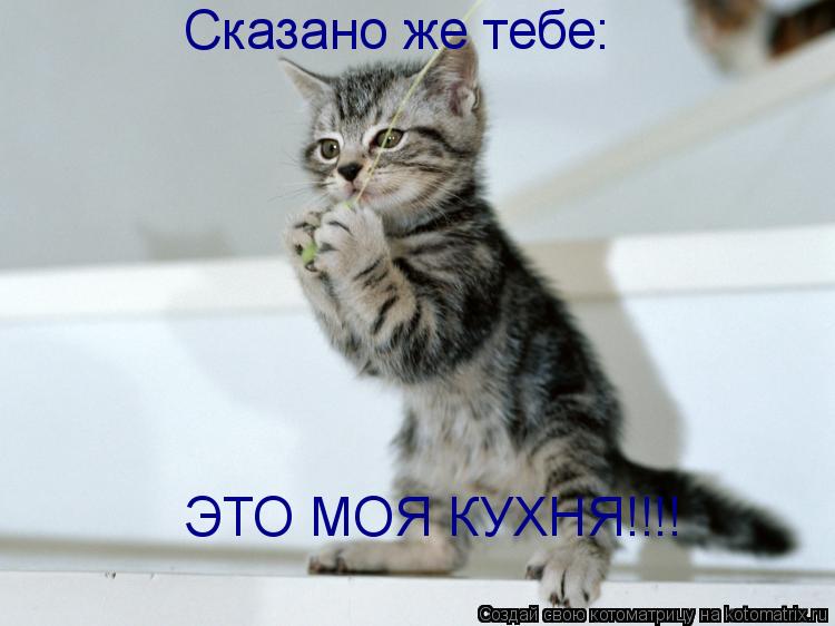 Котоматрица: Сказано же тебе:   ЭТО МОЯ КУХНЯ!!!!