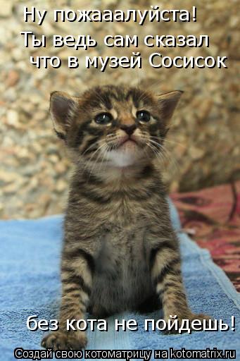 Котоматрица: Ну пожааалуйста!  Ты ведь сам сказал   что в музей Сосисок   без кота не пойдешь!
