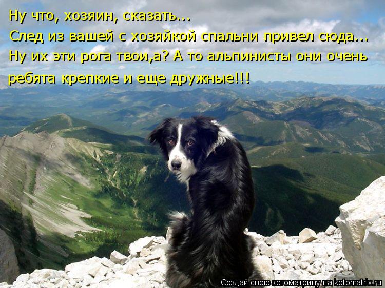 Котоматрица: Ну что, хозяин, сказать... След из вашей с хозяйкой спальни привел сюда... Ну их эти рога твои,а? А то альпинисты они очень ребята крепкие и еще 