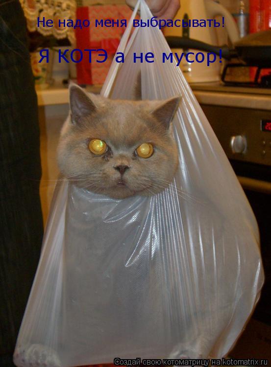 Котоматрица: Не надо меня выбрасывать!  Я КОТЭ а не мусор!