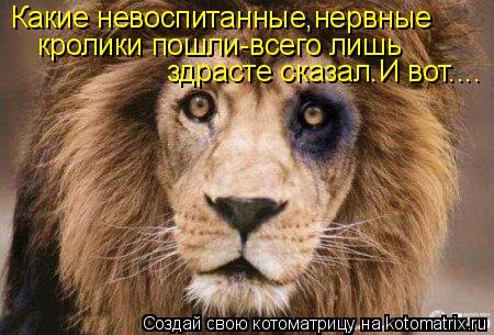 Котоматрица: Какие невоспитанные,нервные  кролики пошли-всего лишь здрасте сказал.И вот....
