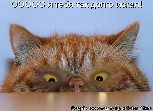 Котоматрица: ООООО я тебя так долго искал!