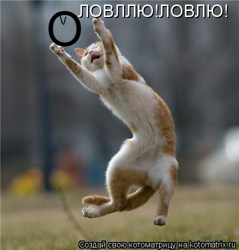 Котоматрица: ЛОВЛЛЮ!ЛОВЛЮ! О \ /