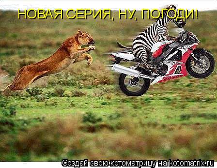 Котоматрица: НОВАЯ СЕРИЯ, НУ, ПОГОДИ!