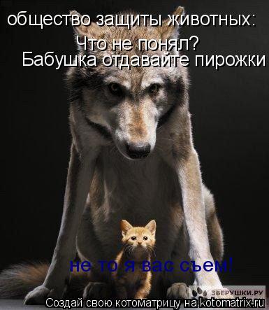 Котоматрица: общество защиты животных:    Что не понял?  Бабушка отдавайте пирожки   не то я вас съем!