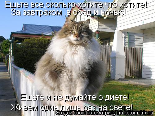 Котоматрица: Ешьте все,сколько хотите,что хотите! За завтраком ,в обед и ночью! Ешьте и не думайте о диете! Живем один лишь раз на свете!
