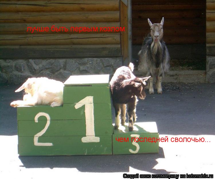 Котоматрица: лучше быть первым козлом чем последней сволочью...