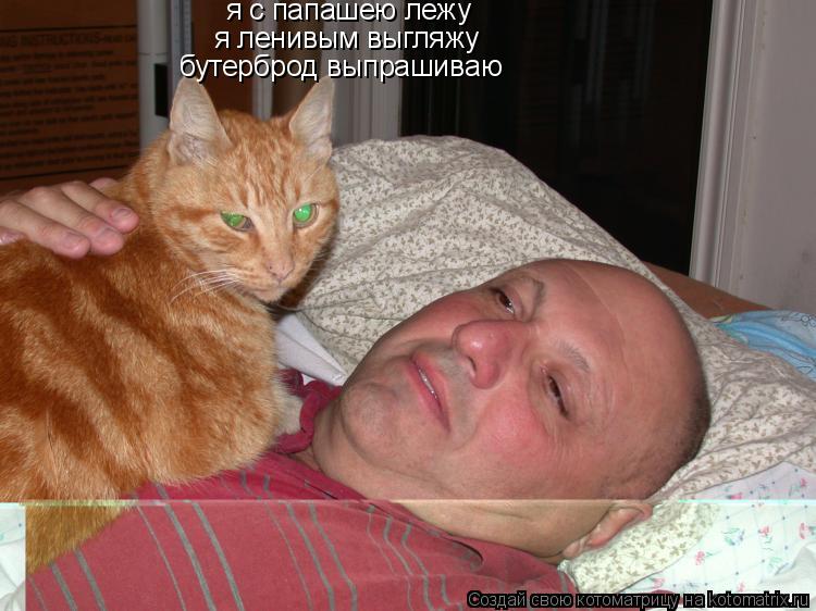 Котоматрица: я с папашею лежу  я ленивым выгляжу бутерброд выпрашиваю