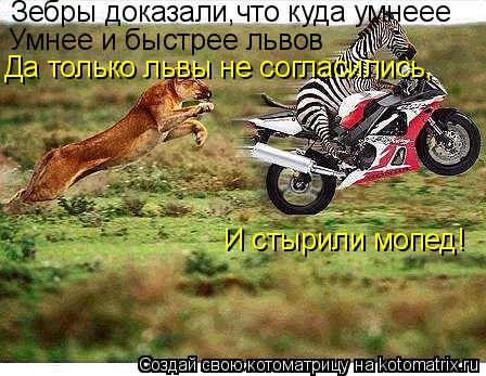 Котоматрица: Зебры доказали,что куда умнеее Умнее и быстрее львов Да только львы не согласились, И стырили мопед!