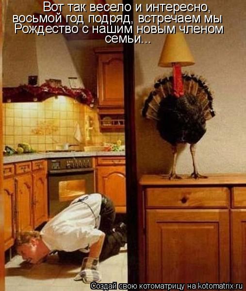 Котоматрица: восьмой год подряд, встречаем мы Рождество с нашим новым членом семьи... Вот так весело и интересно,
