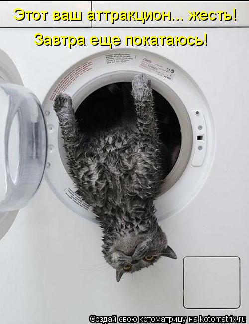 Котоматрица: Этот ваш аттракцион... жесть!  Завтра еще покатаюсь!