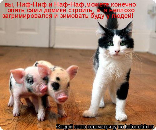Котоматрица: вы, Ниф-Ниф и Наф-Наф,можете,конечно опять сами домики строить, а  я неплохо  загримировался и зимовать буду у людей!