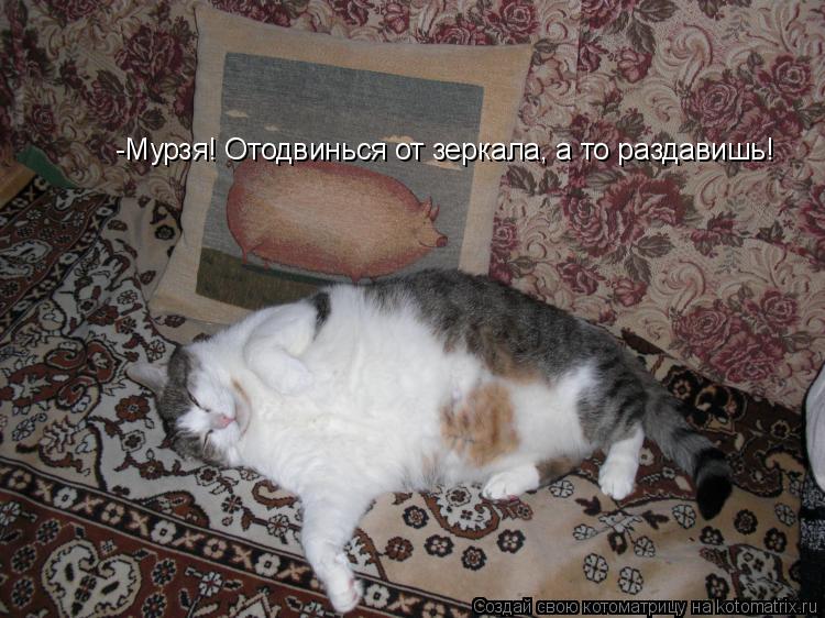Котоматрица: -Мурзя! Отодвинься от зеркала, а то раздавишь!