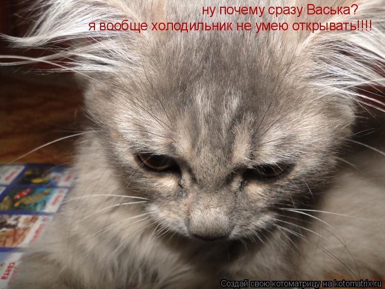 ну почему сразу Васька? я вообще холодильник не умею открывать!!!!... Котоматрица: ну почему сразу Васька? я вообще холодильник не умею открывать!!!!