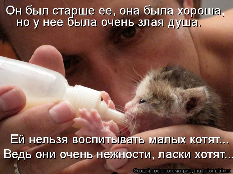 Котоматрица: Он был старше ее, она была хороша,  но у нее была очень злая душа. Ей нельзя воспитывать малых котят... Ведь они очень нежности, ласки хотят...