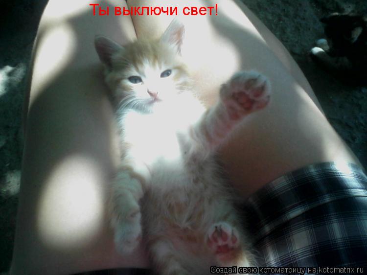 Котоматрица: Ты выключи свет!