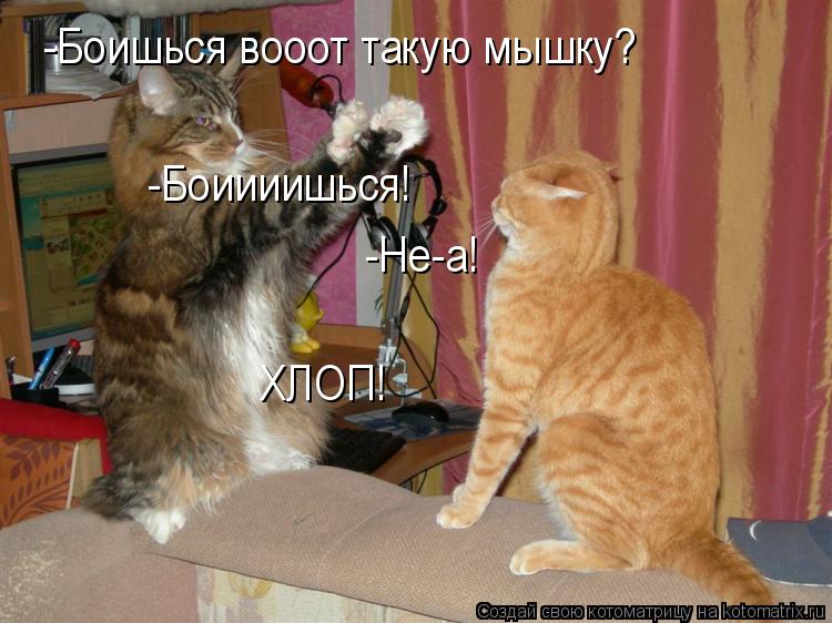 Котоматрица: -Боишься вооот такую мышку? -Не-а! ХЛОП! -Боиииишься!